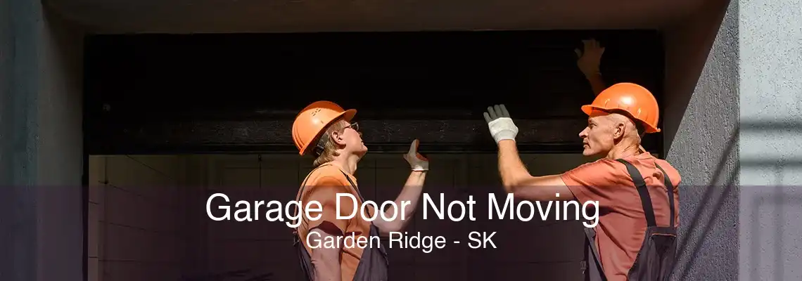 Garage Door Not Moving Garden Ridge - SK