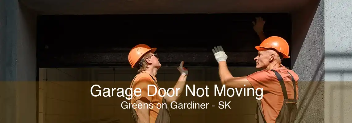 Garage Door Not Moving Greens on Gardiner - SK