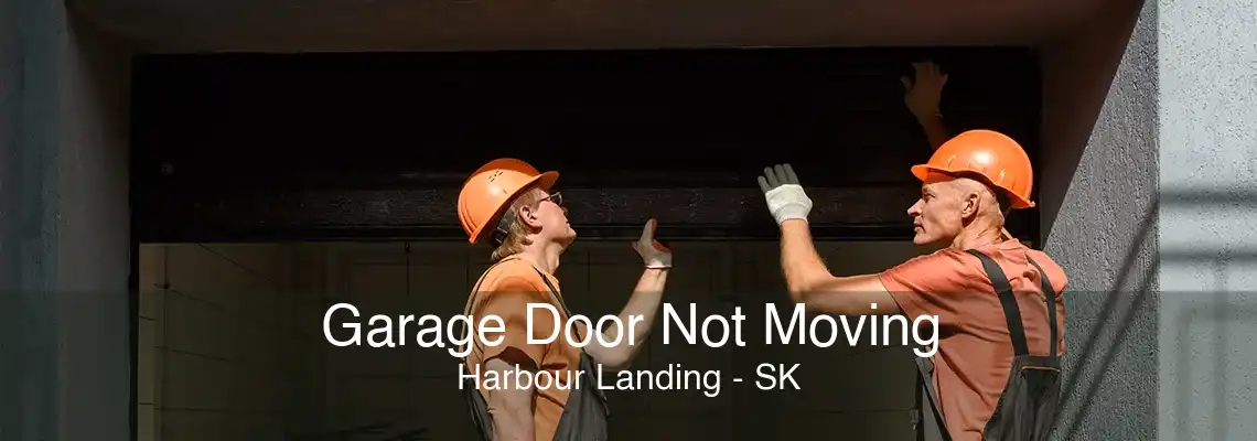 Garage Door Not Moving Harbour Landing - SK