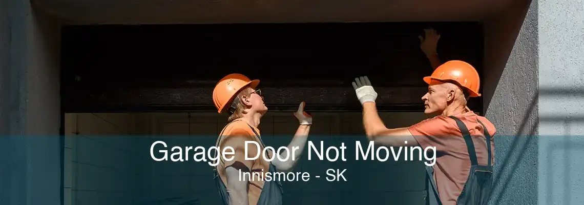 Garage Door Not Moving Innismore - SK