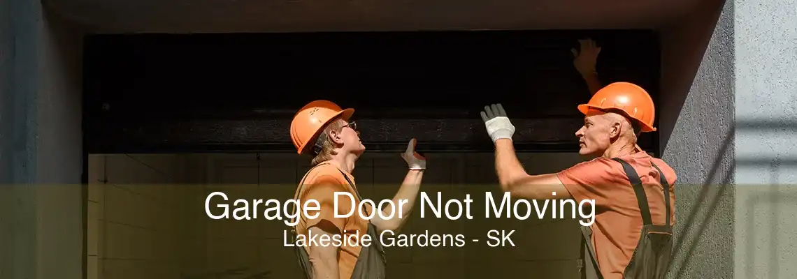 Garage Door Not Moving Lakeside Gardens - SK