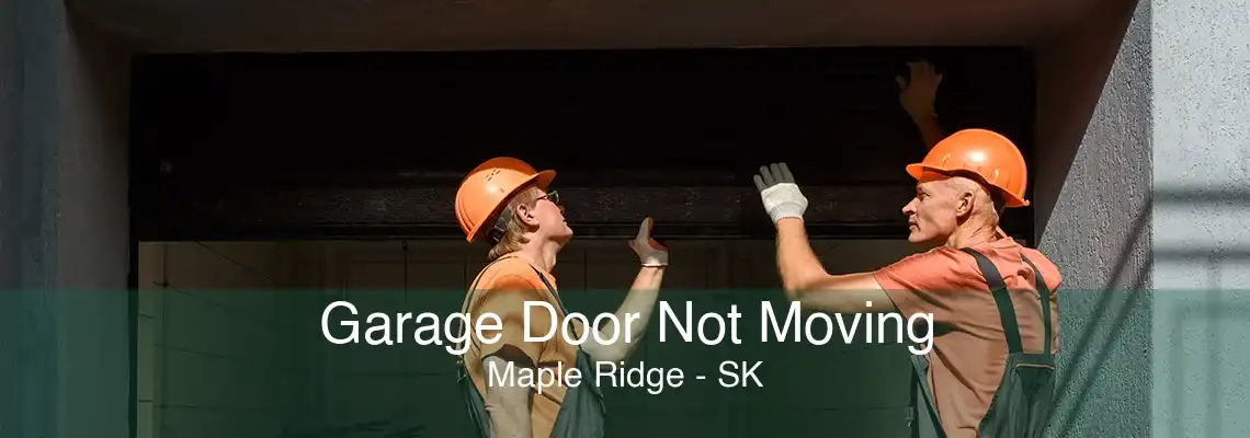 Garage Door Not Moving Maple Ridge - SK