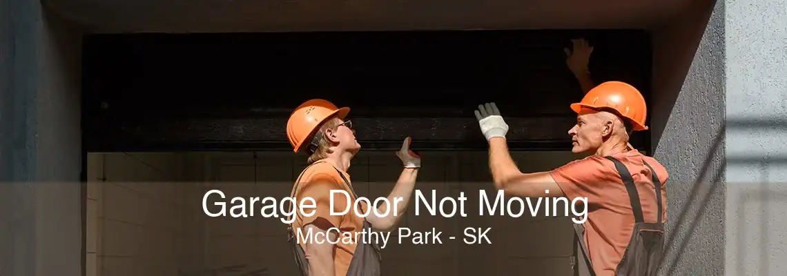 Garage Door Not Moving McCarthy Park - SK