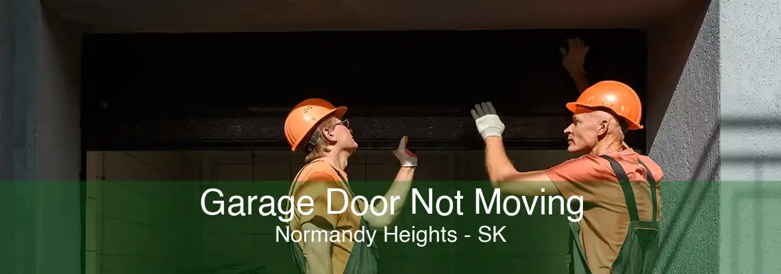 Garage Door Not Moving Normandy Heights - SK