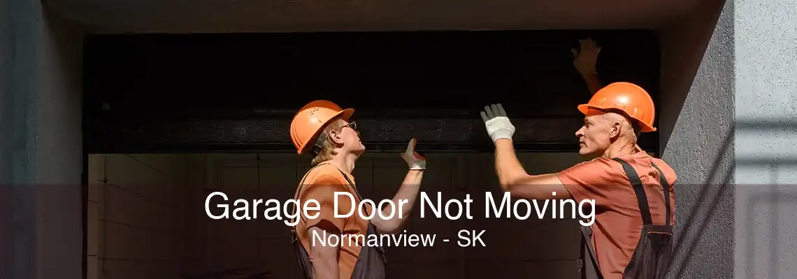 Garage Door Not Moving Normanview - SK