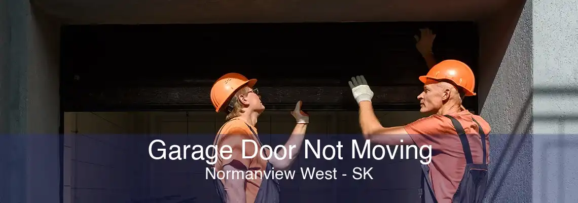 Garage Door Not Moving Normanview West - SK