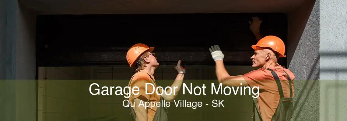 Garage Door Not Moving Qu Appelle Village - SK