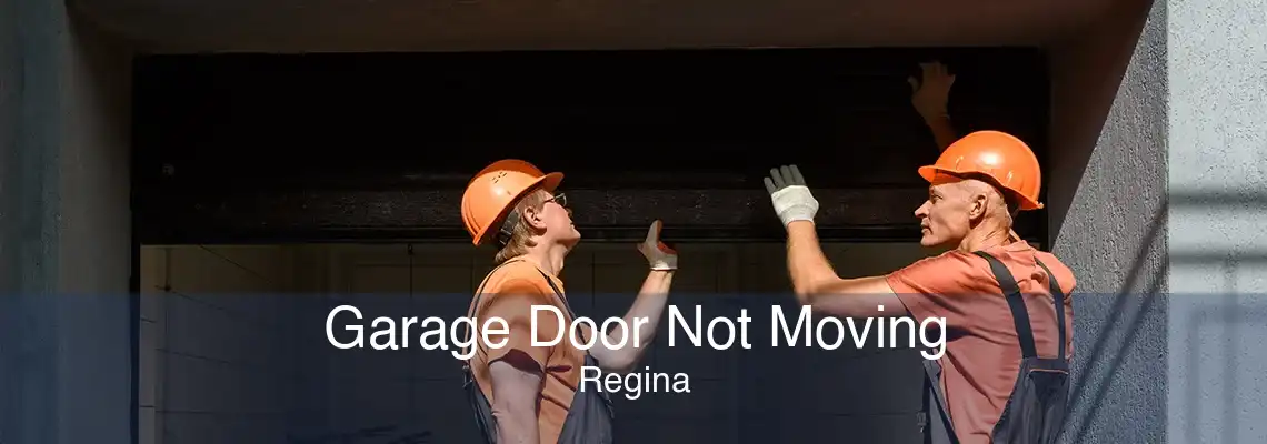 Garage Door Not Moving Regina
