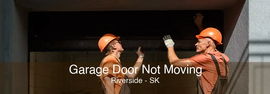 Garage Door Not Moving Riverside - SK