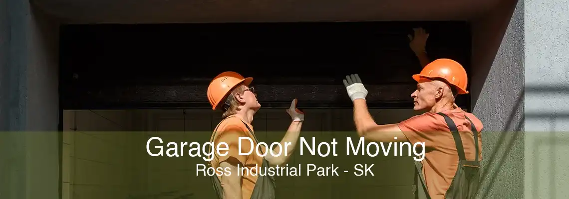Garage Door Not Moving Ross Industrial Park - SK