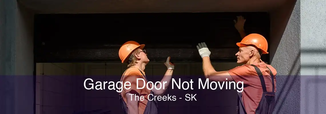 Garage Door Not Moving The Creeks - SK