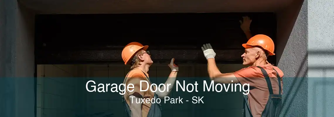 Garage Door Not Moving Tuxedo Park - SK