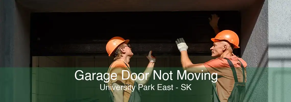 Garage Door Not Moving University Park East - SK