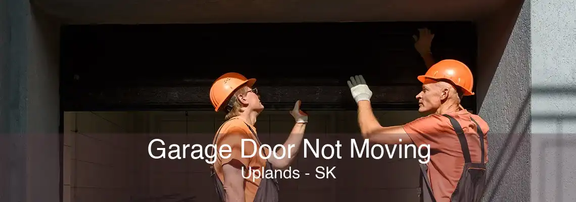 Garage Door Not Moving Uplands - SK