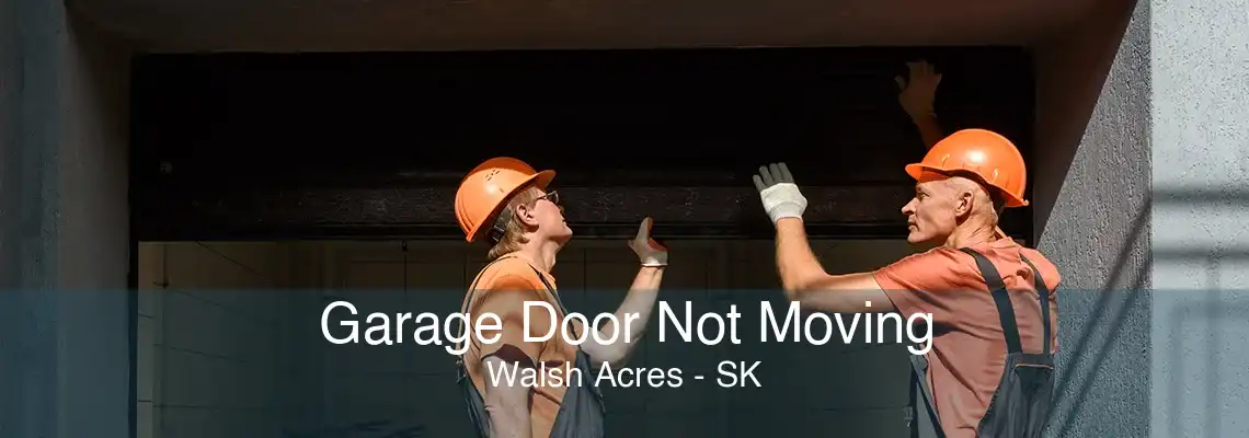 Garage Door Not Moving Walsh Acres - SK