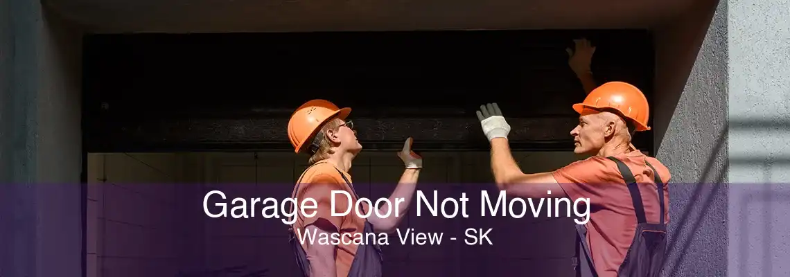 Garage Door Not Moving Wascana View - SK