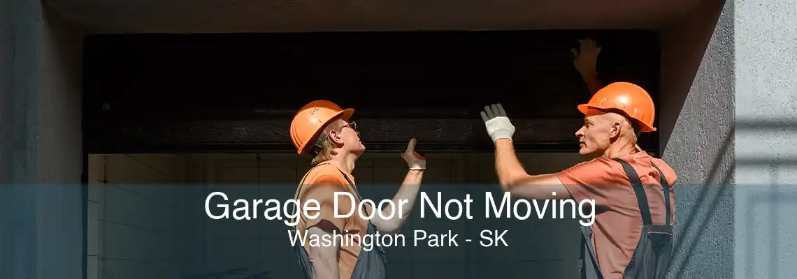 Garage Door Not Moving Washington Park - SK