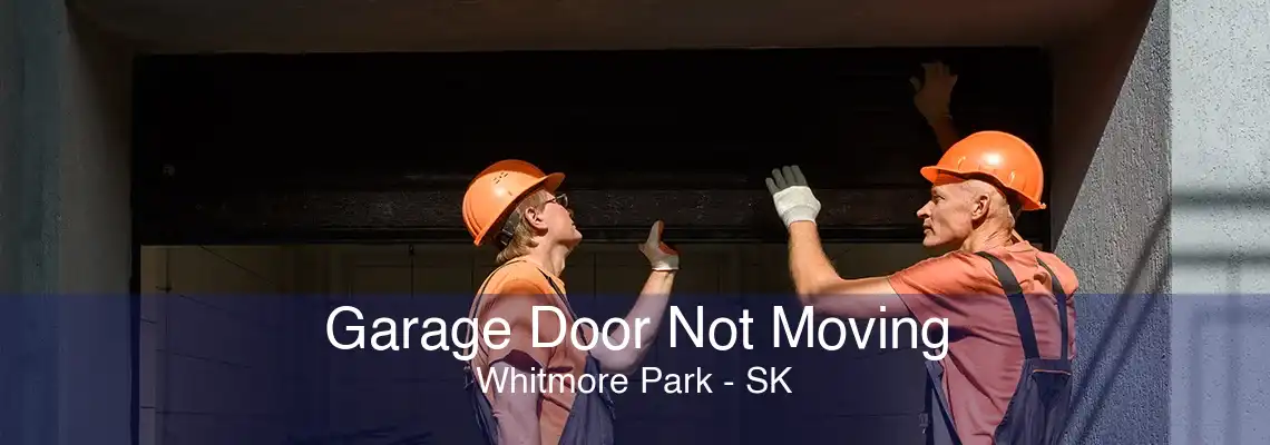 Garage Door Not Moving Whitmore Park - SK