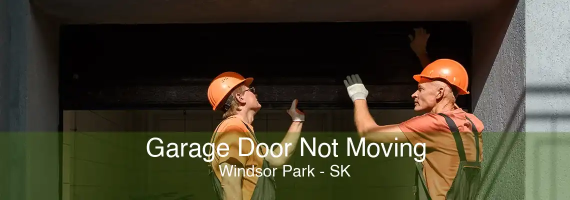 Garage Door Not Moving Windsor Park - SK