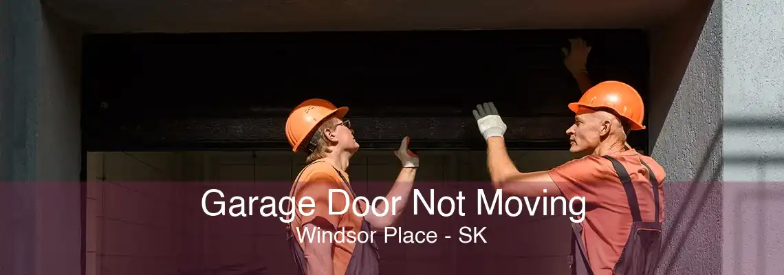 Garage Door Not Moving Windsor Place - SK