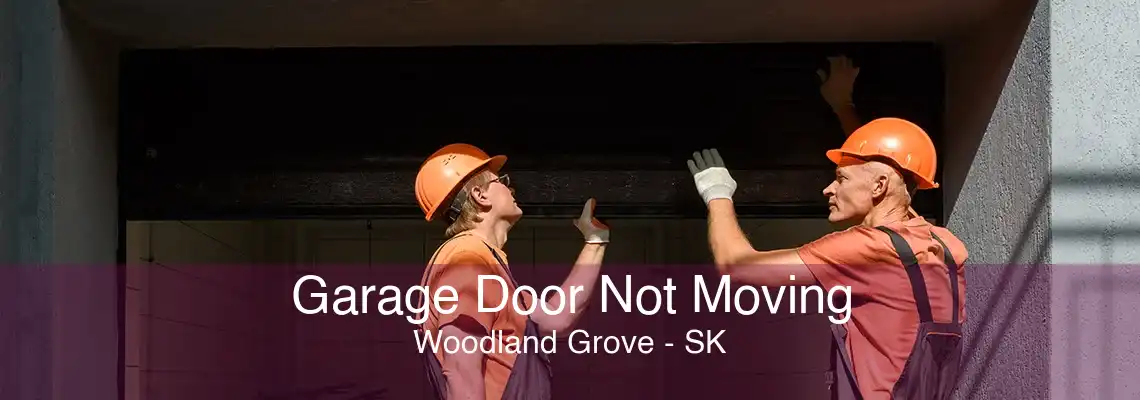 Garage Door Not Moving Woodland Grove - SK