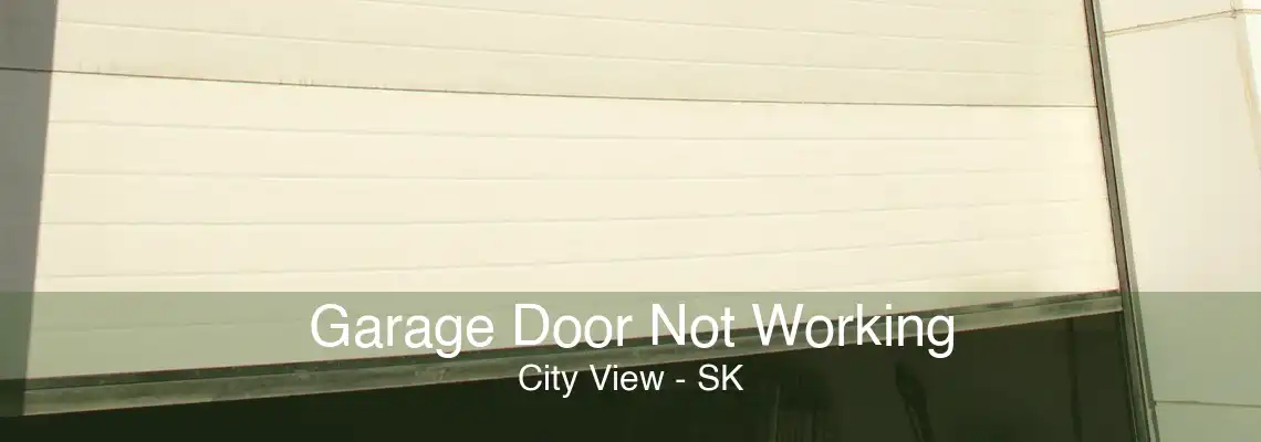 Garage Door Not Working City View - SK