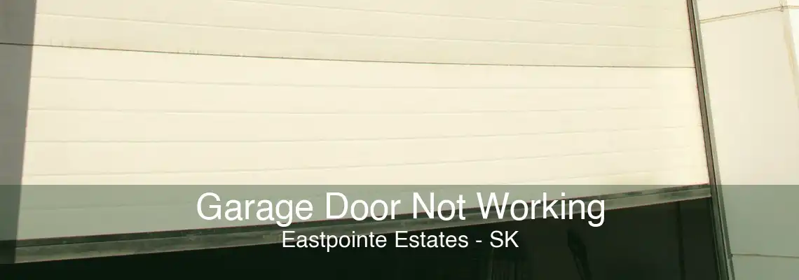 Garage Door Not Working Eastpointe Estates - SK