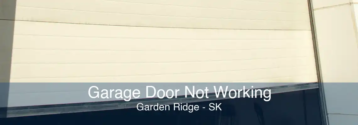 Garage Door Not Working Garden Ridge - SK