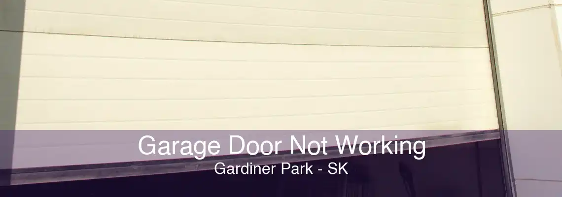 Garage Door Not Working Gardiner Park - SK