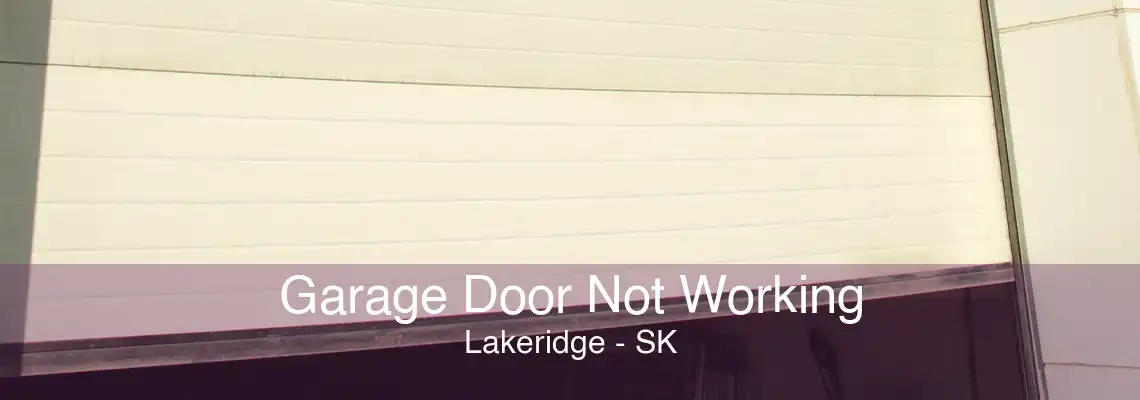 Garage Door Not Working Lakeridge - SK