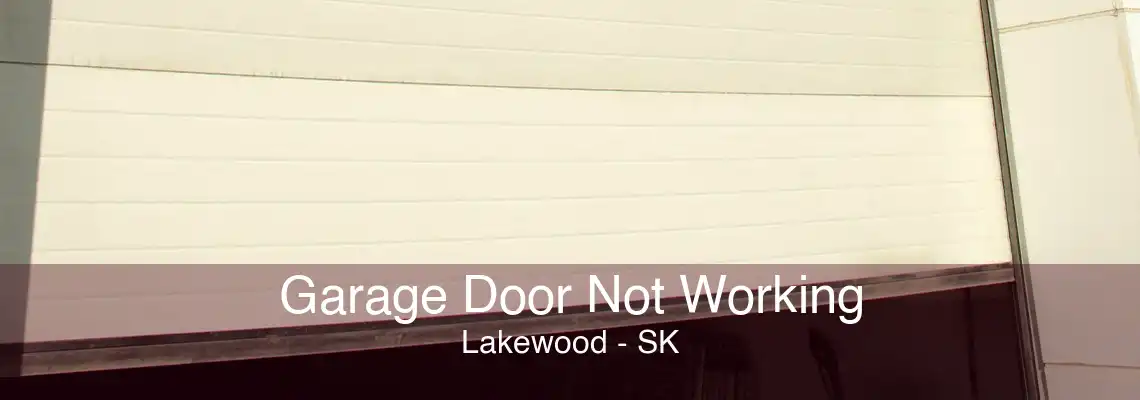 Garage Door Not Working Lakewood - SK