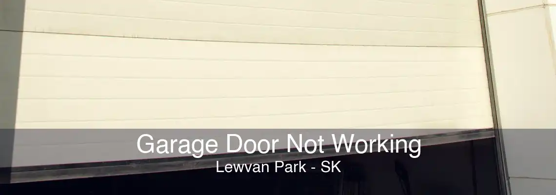 Garage Door Not Working Lewvan Park - SK