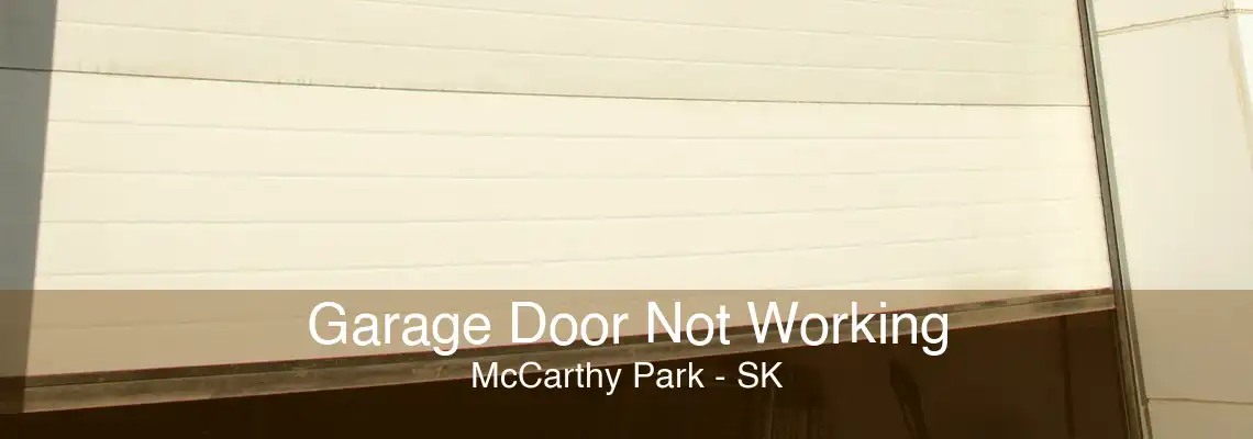 Garage Door Not Working McCarthy Park - SK