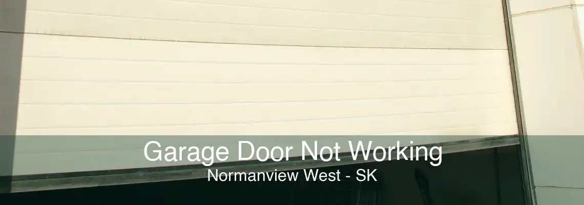 Garage Door Not Working Normanview West - SK