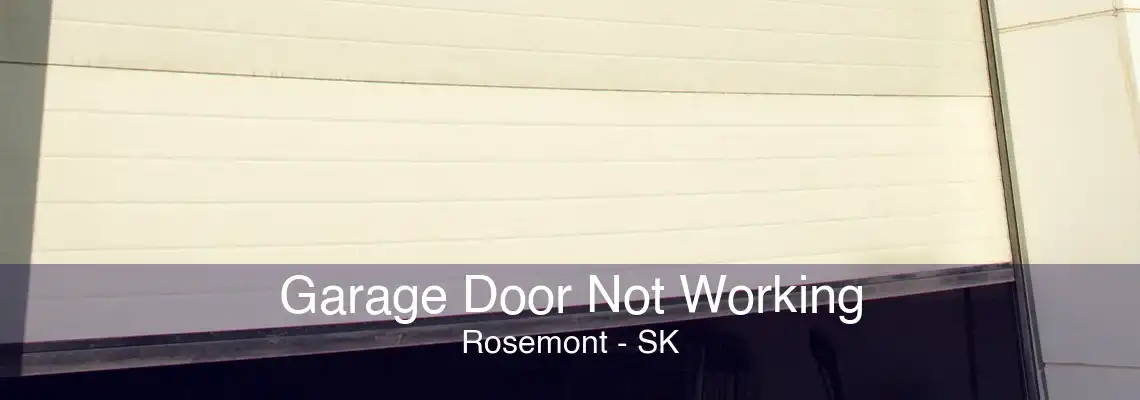 Garage Door Not Working Rosemont - SK