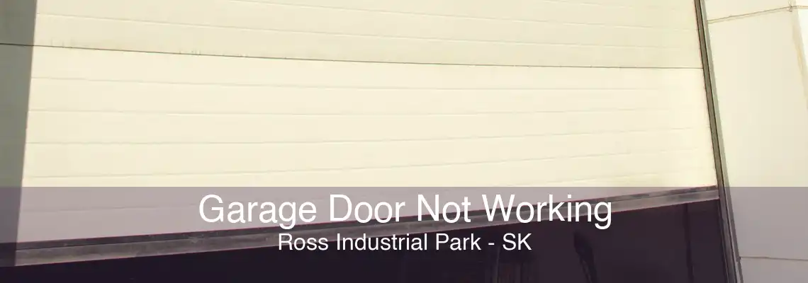 Garage Door Not Working Ross Industrial Park - SK