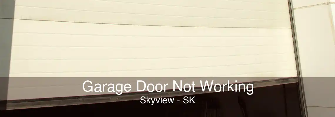 Garage Door Not Working Skyview - SK