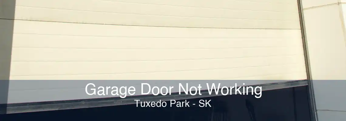 Garage Door Not Working Tuxedo Park - SK