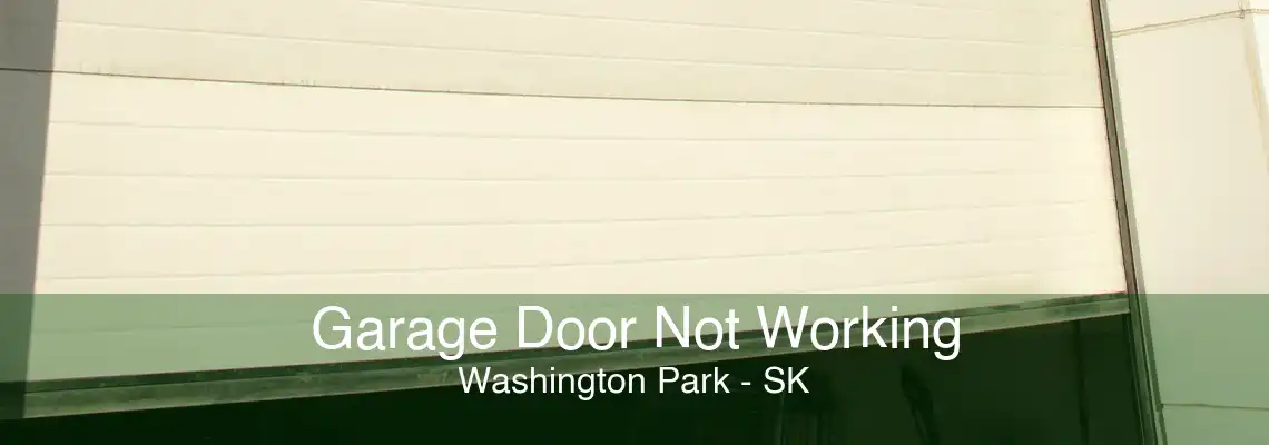 Garage Door Not Working Washington Park - SK