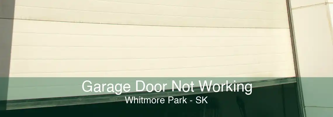 Garage Door Not Working Whitmore Park - SK