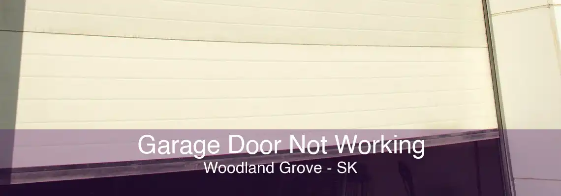 Garage Door Not Working Woodland Grove - SK