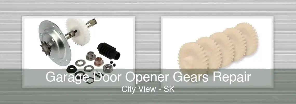 Garage Door Opener Gears Repair City View - SK