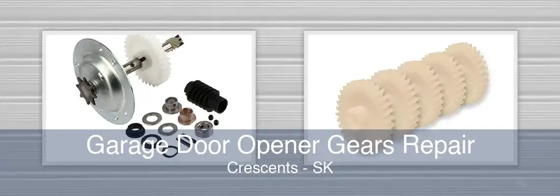 Garage Door Opener Gears Repair Crescents - SK
