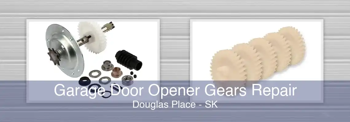 Garage Door Opener Gears Repair Douglas Place - SK