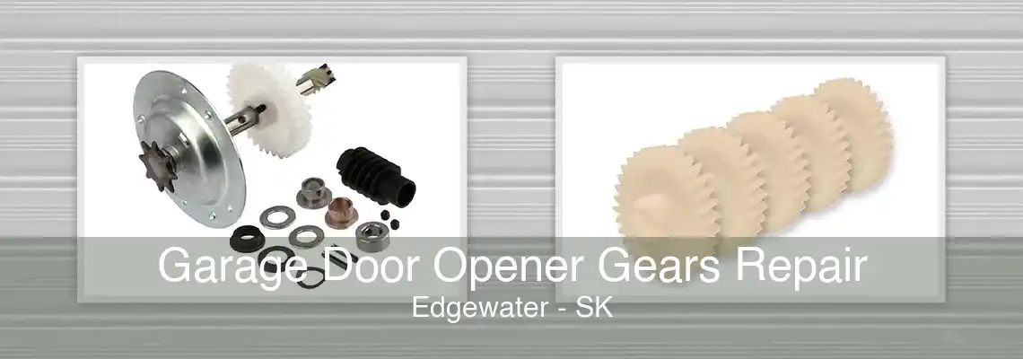 Garage Door Opener Gears Repair Edgewater - SK