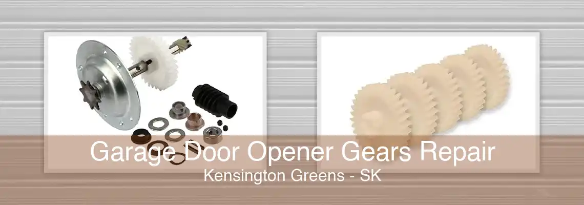 Garage Door Opener Gears Repair Kensington Greens - SK