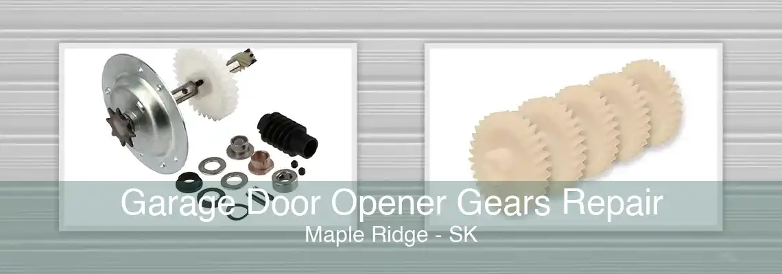 Garage Door Opener Gears Repair Maple Ridge - SK