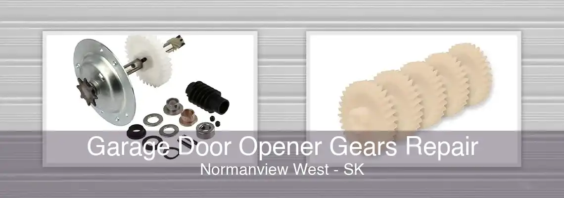 Garage Door Opener Gears Repair Normanview West - SK