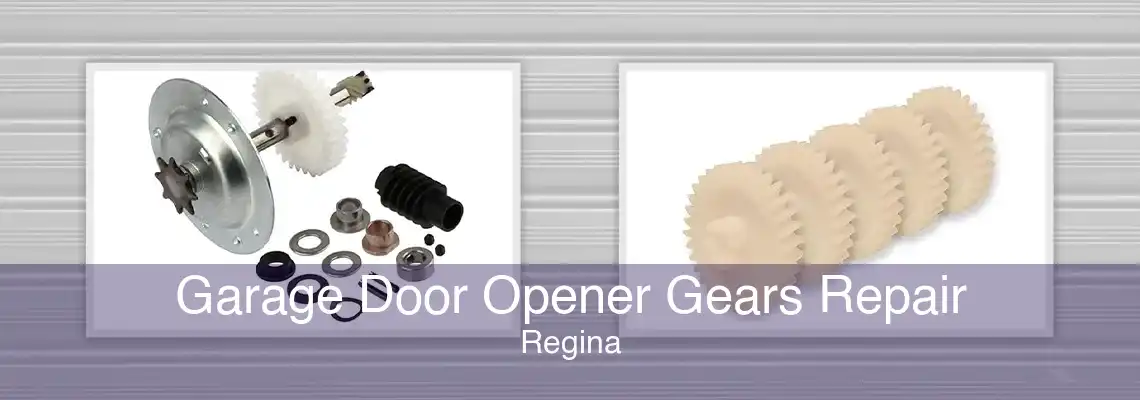 Garage Door Opener Gears Repair Regina