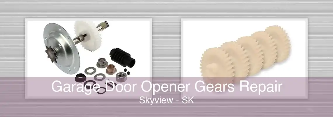 Garage Door Opener Gears Repair Skyview - SK